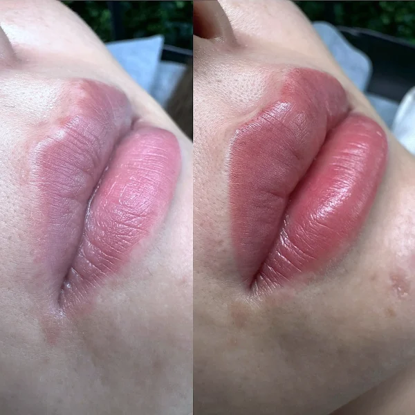 ombre lip color combinations