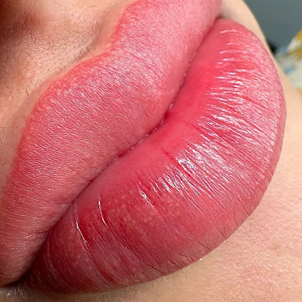 ombre lips semi permanent makeup